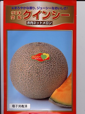 メロン☆ 4_000000000443.jpg?1678209904