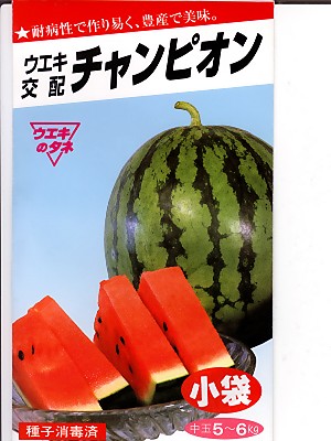 スイカ種 ウエキ交配 チャンピオン 横浜植木のスイカ品種です Green Depo グリーンデポ
