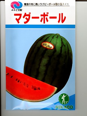 野菜種 果菜類,スイカ | GREEN DEPO[ グリーンデポ ]