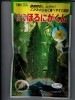 ゴーヤ   ダイヤ交配　　ほろにがくん　　 トキタ種苗のニガウり（ゴーヤ）種です。