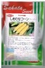 トウモロコシ種　サカタ交配　しあわせコーン　　バイカラートウモロコシ種|トウモロコシ|野菜種　果菜類