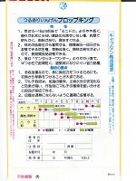 インゲン　サカタ　プロップキング　サカタのタネのつるありインゲン品種です。|インゲン|野菜種　豆類