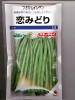 インゲン　恋みどり　タキイ種苗のつるなしインゲン種です。