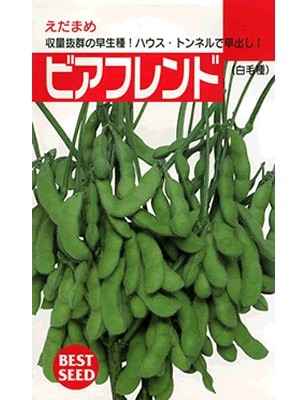 エダマメ種 タキイ ビアフレンド タキイ種苗のエダマメ品種です