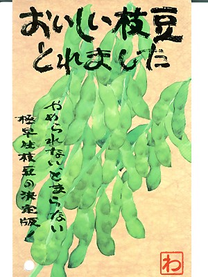 えだまめページ ATELIER Z M#265/17P CUSTOM / TP-BLUE/E MH（新品）【楽器検索