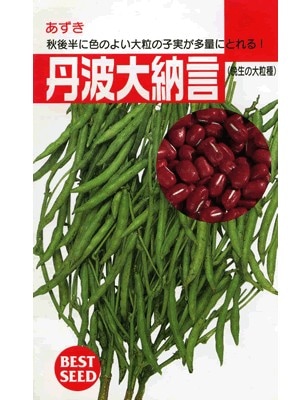 小豆種 タキイ 丹波大納言小豆 タキイ種苗の小豆種です Green Depo グリーンデポ