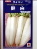 ダイコン　タキイ交配　健白大根　　　タキイ種苗の大根種です。　
