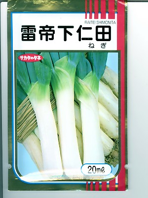 【ながねぎ】 Amazon | サカタのタネ 実咲野菜3805 ネギ 極太一本ねぎ 夏扇