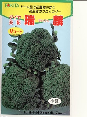 たね 大和農園 ブロッコリー グリーンダイヤ　コート 5000粒 グリーンコーラル 1000粒コート ブロッコリー大和農園 種