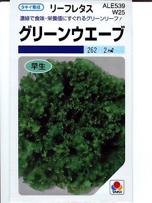 レタス タキイ グリーンウェーブ タキイ種苗のリーフレタスです Green Depo グリーンデポ