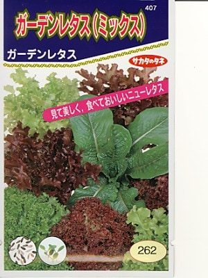 きんたろう様 ターザン15本、七宝15本、レタス苗12本 野菜種 葉もの類 きんたろう様 ターザン15本、七宝15本、レタス苗12本 野菜種 葉もの類