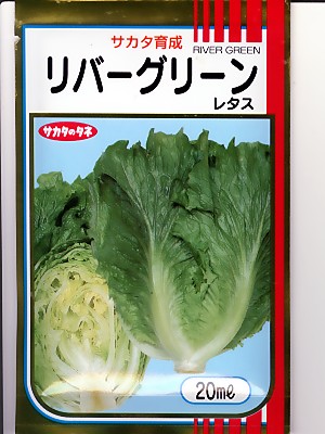 きんたろう様　ターザン15本、七宝15本、レタス苗12本 きんたろう様 ターザン15本、七宝15本、レタス苗12本 レタスの種（