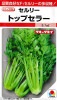 セルリー　タキイ交配　トップセラー　タキイ種苗のセルリーです。|セルリー|野菜種　葉もの類