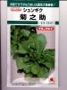 シュンギク　　タキイ交配　　菊之助　　　　　タキイ種苗の春菊種です。