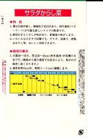 サラダからし菜      トキタ種苗の種です。|つけ菜類|野菜種　葉もの類