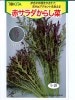 赤サラダからし菜　　トキタ種苗の種です。