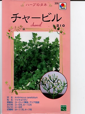 ハーブ タキイ チャービル タキイ種苗のハーブ種です Green Depo グリーンデポ ハーブ タキイ チャービル タキイ種苗のハーブ種です Green Depo グリーンデポ