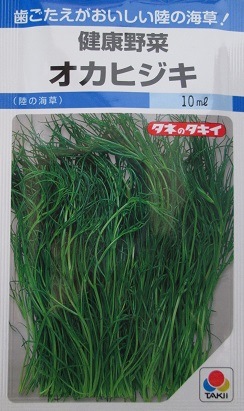 その他野菜類,おかひじき | GREEN DEPO[ グリーンデポ ]