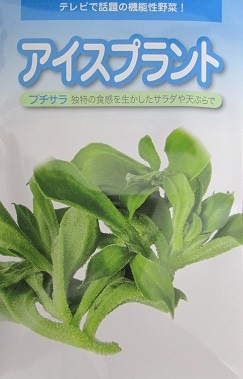アイスプラント プチサラ 武蔵野種苗園のアイスプラント種です Green Depo グリーンデポ