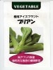 アイスプラント 食用アイスプラント　プリアン　　 藤田種苗のアイスプラント種です。