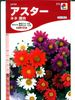 アスター　タキイ育成　ネネ混合　 タキイ種苗のアスター種です。