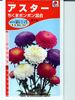 アスター　タキイ種苗　ちくまポンポン混合　 タキイ種苗のアスター種です。