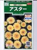 アスター　サカタのタネ　松本イエロー　 サカタのタネのアスター種です。
