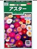 アスター　サカタのタネ　　アスター松本混合　　 サカタのタネのアスター種です。