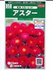 アスター　サカタのタネ　　松本　スカーレット　　 サカタのタネのアスター種です。