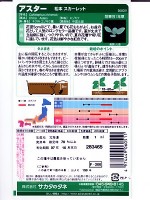 アスター　サカタのタネ　　松本　スカーレット　　 サカタのタネのアスター種です。|アスター|花
