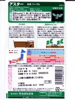 アスター　サカタのタネ　松本パープル　 サカタのタネのアスター種です。|アスター|花
