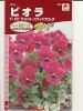 ビオラ　タキイ交配　Ｆ１ビビライトローズウィズブロッチ　 タキイ種苗のビオラです。