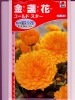 キンセンカ　タキイ育成　ゴールドスター　 タキイ種苗の金盞花です。