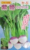 フタバ交配　紫姫　野原種苗のカブ品種
