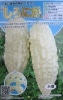 ゴーヤ種　しろにがくん　トキタ種苗の白にがうり（白ゴーヤ）の品種です。（１００粒）