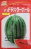 ＦＲマダーボールスイカ　　みかど協和の小玉スイカ品種です。