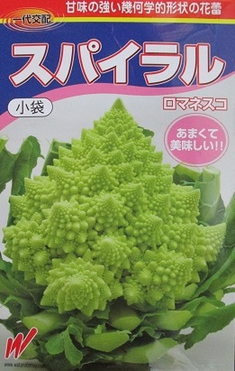 野菜種 葉もの類,カリフラワー | GREEN DEPO[ グリーンデポ ]