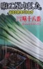 ウエキ交配　味十八番　横浜植木の一本ネギ品種です。　（小袋）