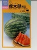 スイカの種　虎太郎西瓜　　中原採種場のスイカ品種です。