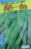 えだまめ種　秘伝　佐藤政行種苗の中晩生の枝豆品種です。