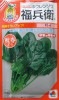 福兵衛ホウレンソウ　タキイ種苗のほうれん草品種です。
