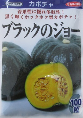 サカタ交配 ブラックのジョー サカタのタネの大玉カボチャ品種です Green Depo グリーンデポ サカタ交配 ブラックのジョー サカタのタネの大玉カボチャ品種です Green Depo グリーンデポ