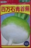 百万石青首蕪　武蔵野種苗園の大蕪品種です。