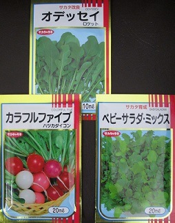 ほぼ周年で作れるサラダ向き野菜種セット サカタのタネの野菜種子 組み合わせセット Green Depo グリーンデポ