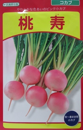 武蔵野交配 桃寿 武蔵野種苗園の小カブ品種です Green Depo グリーンデポ