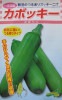韓国カボチャ　カボッキー　松永種苗の韓国カボチャ品種