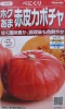 べにくり　赤皮カボチャ　登録品種　サカタのタネ販売の南瓜品種です。