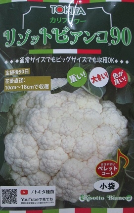 カリフラワー様　専売 Amazon | 株式会社トーホク カリフラワー 白穂 03430 | 野菜