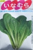 サカタ交配　いなむらコマツナ　サカタのタネの小松菜品種　小袋