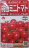 桃色ミニトマト　サカタ交配　キャロルロゼ　サカタのタネのミニトマト品種
